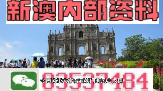 今日最新资料