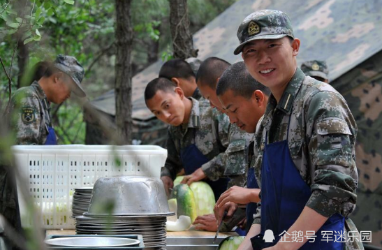 后勤战略支援部队兵种好不好？深度解析其优势与价值，深度解析后勤战略支援部队兵种的优势与价值