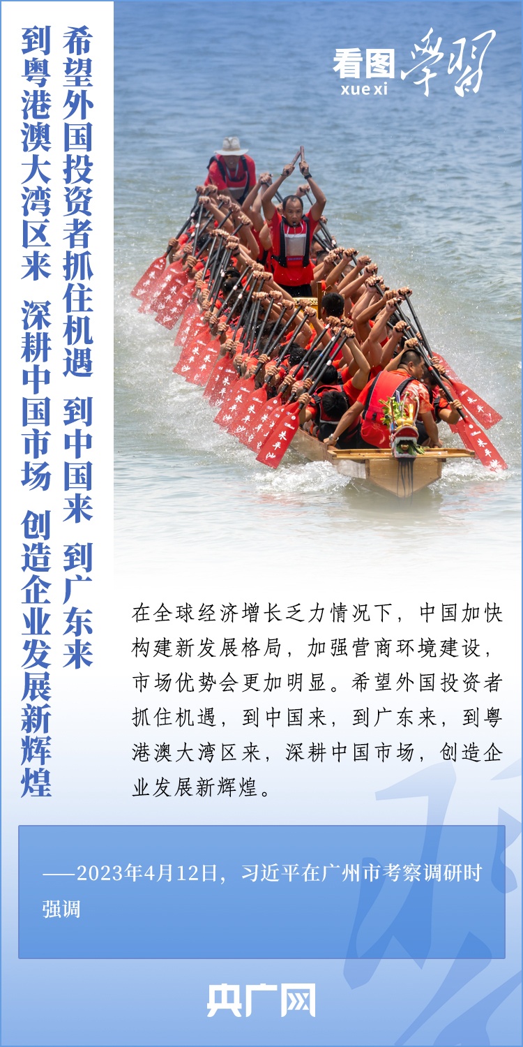 王中王平特一肖图，揭示背后的秘密与策略，王中王平特一肖图背后的秘密与策略揭秘