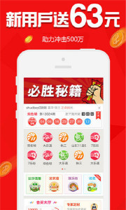 揭秘生肖王中王，探寻期指背后的神秘力量与生肖文化交融，揭秘生肖王中王与期指背后的神秘力量，生肖文化交融探寻