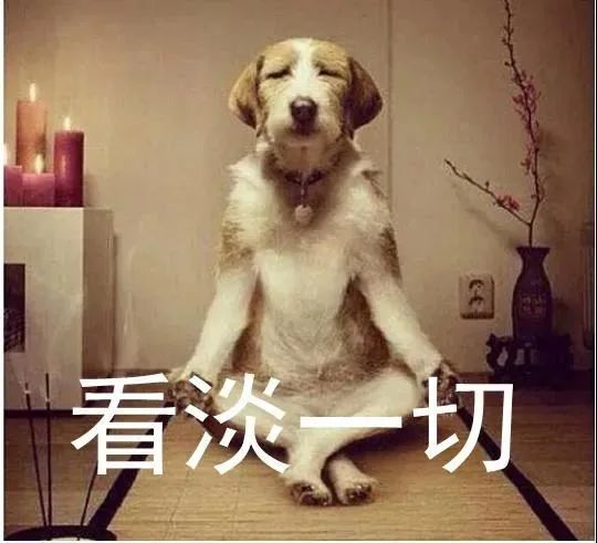 今晚开的四不像