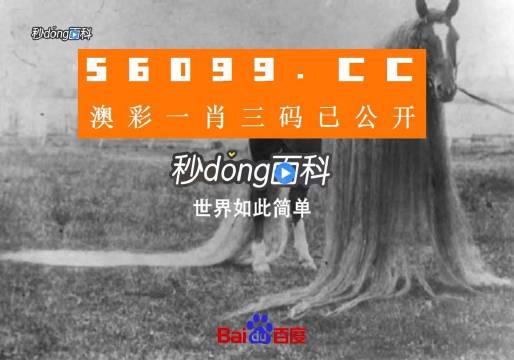 澳门一肖一码一必中一肖舟山，探寻神秘预测背后的故事，澳门神秘预测揭秘，一肖一码必中背后的故事探寻之舟山篇