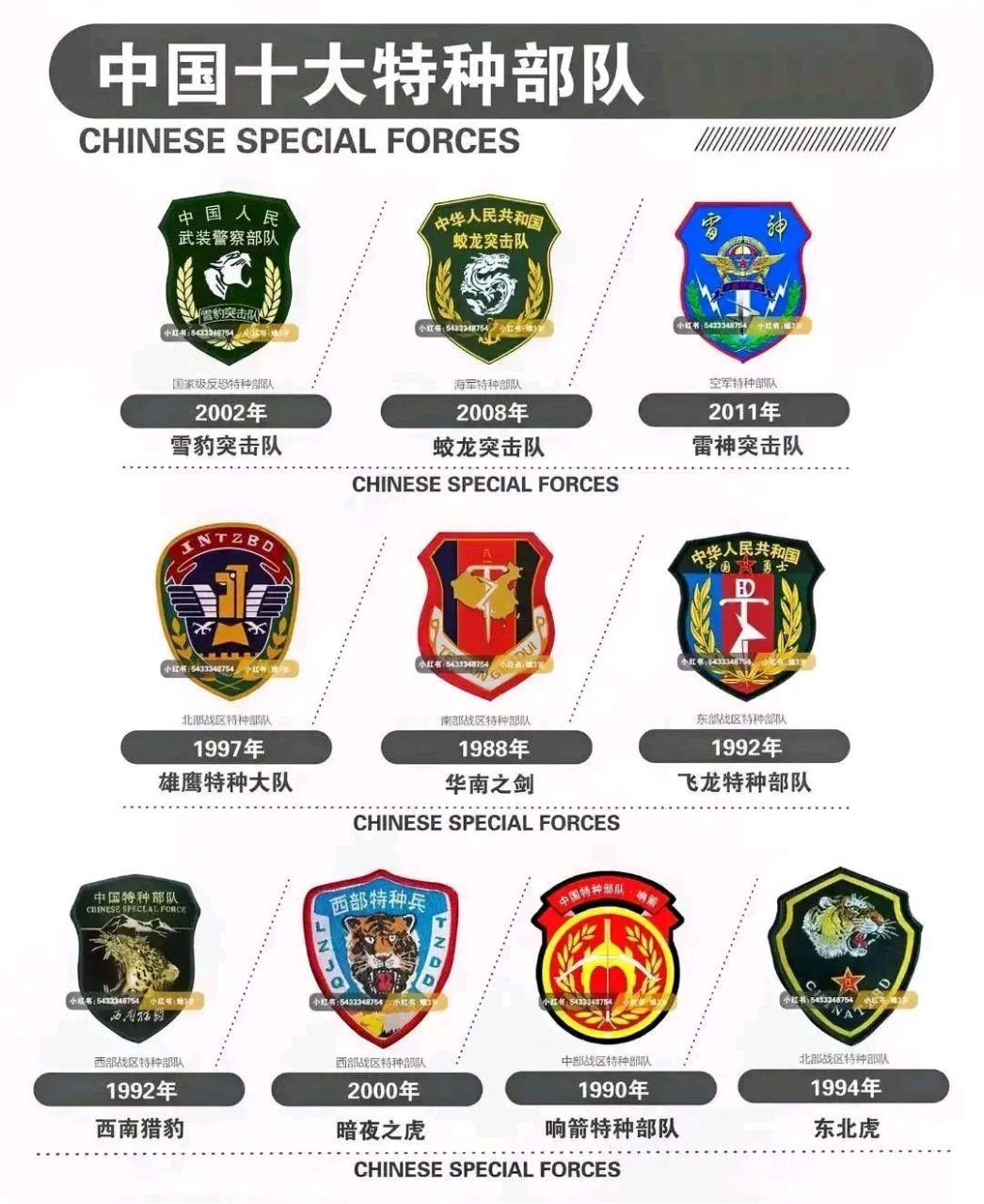 中国猎人特种部队排名及其影响力，中国猎人特种部队排名及影响力探究