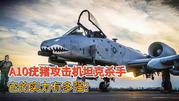A-10疣猪攻击机的历史，一段空中力量的传奇之旅，A-10疣猪攻击机的传奇历程，空中力量的历史见证