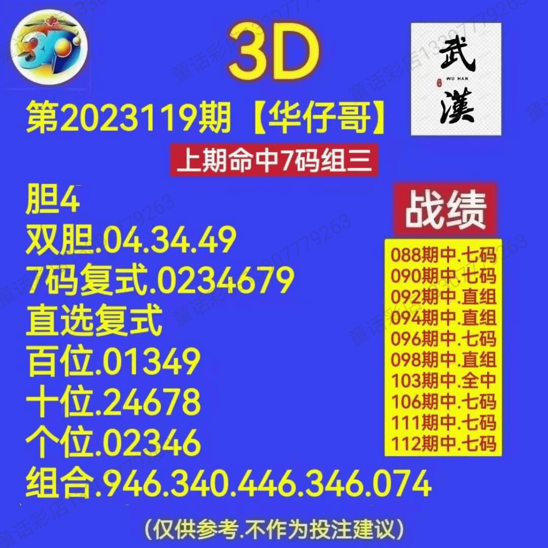 王中王三肖一码资料解析，王中王三肖一码资料深度解析