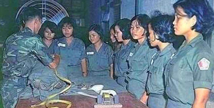 中越女兵对打最新动态，挑战与机遇并存，中越女兵对打最新动态，挑战与机遇交织