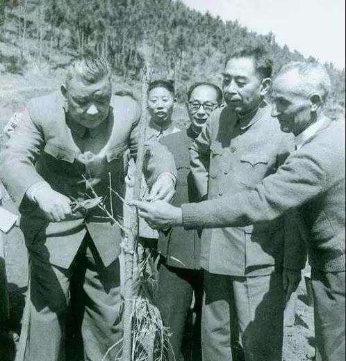 五五年授衔的上将名单及其历史意义，五五年授衔的上将名单及其深远历史意义