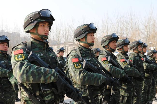 中国人民武装警察部队的构成，中国人民武装警察部队的构成概览