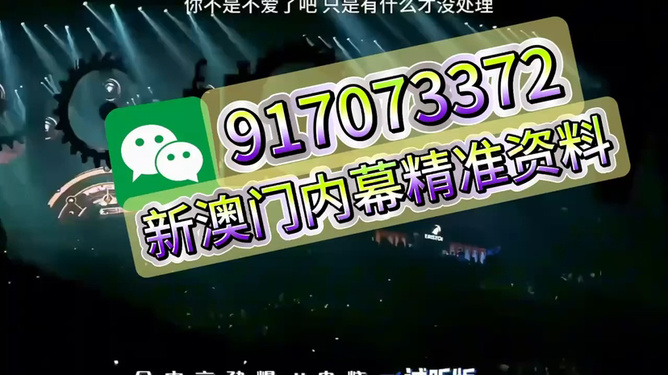 王中王一个月四肖，探寻背后的神秘与魅力，王中王一个月四肖，神秘魅力探寻记