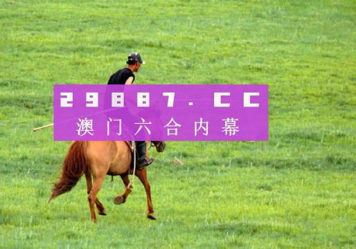 揭秘2023新澳门六开奖结果记录，开奖背后的故事与启示，揭秘2023新澳门六开奖，背后的故事与启示