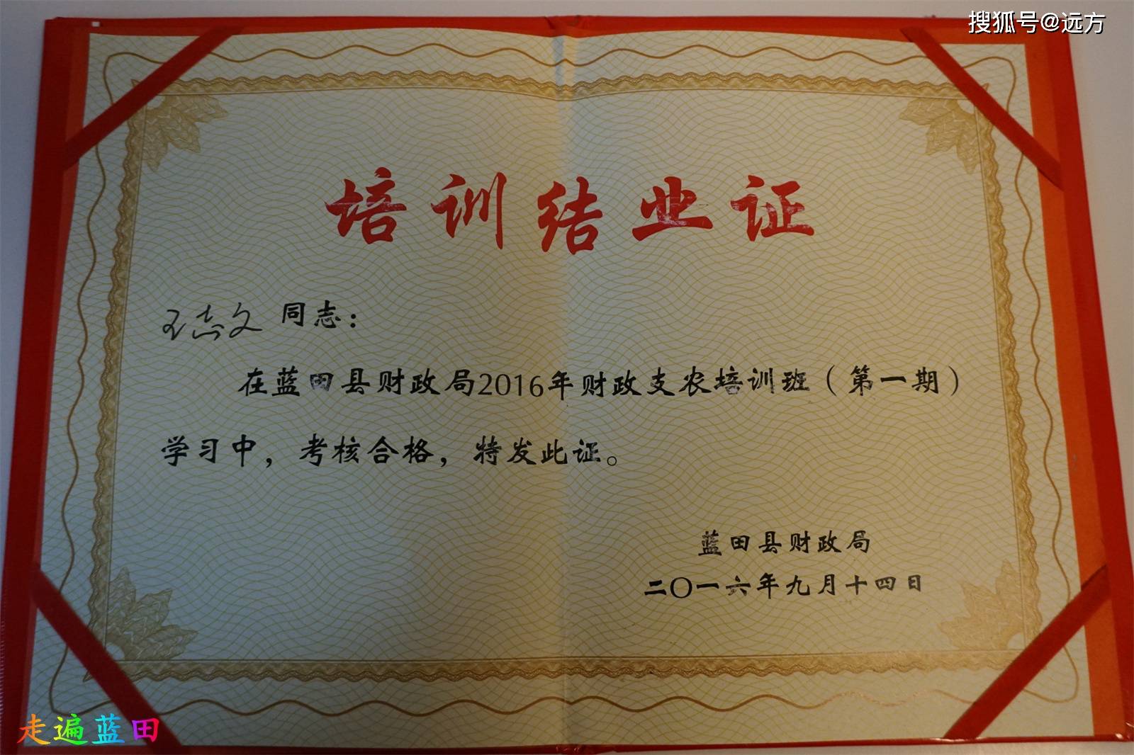 蓝田县人民武装部官网，连接军民，共筑未来，蓝田县人民武装部官网，军民共筑未来
