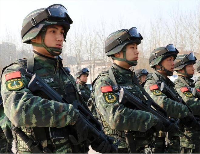 武警部队兵力，规模、结构与发展趋势，武警部队兵力，规模、结构与未来发展趋势展望