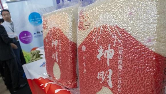 走势分析/解析