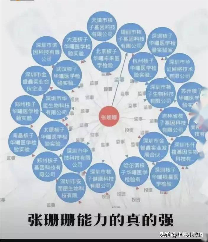 最新新闻标题