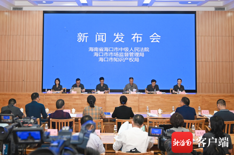 海口今日新闻快报，最新消息全面解析，海口最新新闻快报，全面解析今日最新消息
