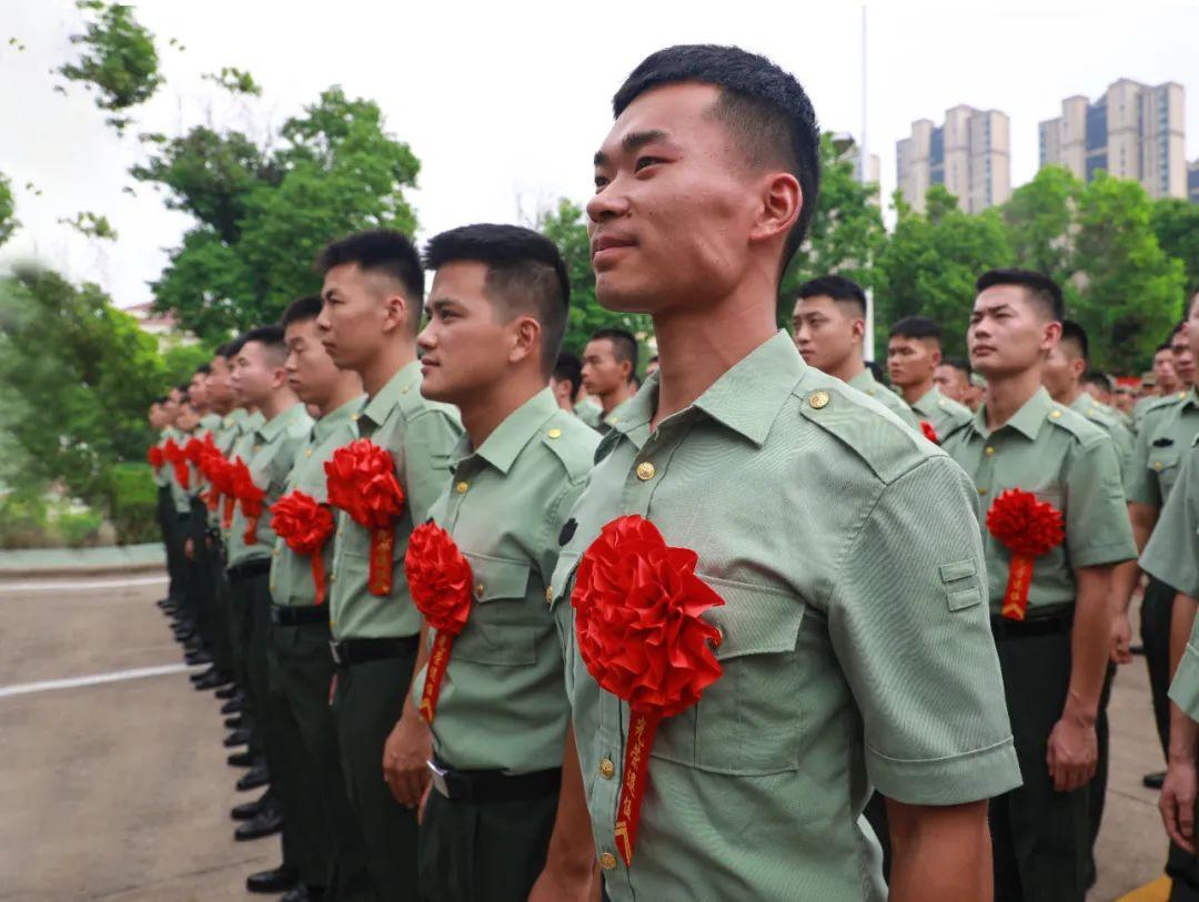 现状解析）