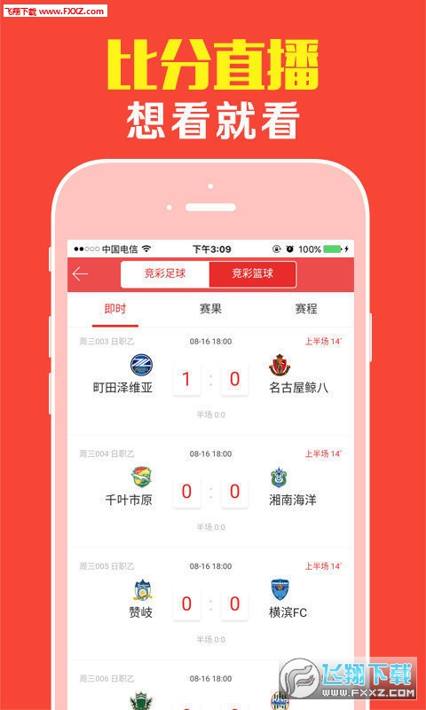 王中王公开一肖，揭秘背后的故事与意义，揭秘王中王公开一肖背后的故事与深层含义