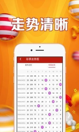 内部四肖四码的秘密与探索，内部四肖四码的秘密揭秘与探索
