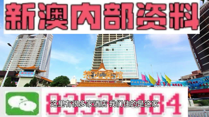 澳门最精准免费资料大全与旅游团，探索澳门之旅的完美指南，澳门精准免费资料大全与旅游团，探索澳门之旅的必备指南