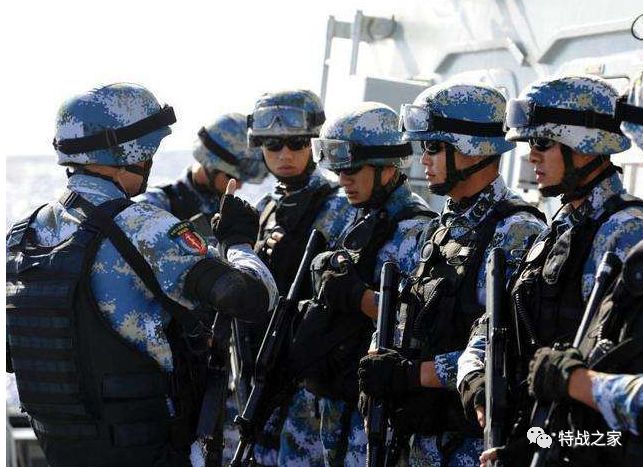蛟龙突击队名单——精英团队的荣耀与使命，蛟龙突击队名单，精英团队的荣耀、使命与团队力量