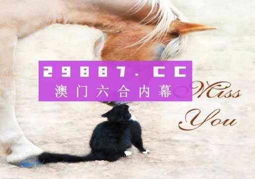 澳门4949资料免费大全——探索澳门彩票文化的魅力与机遇，澳门彩票文化探索，4949资料免费大全与机遇揭秘