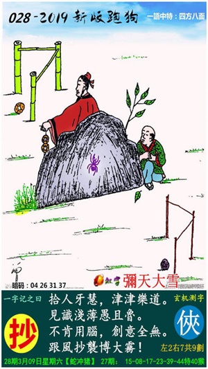 魅力与探索（或魅力揭秘与深度探索）