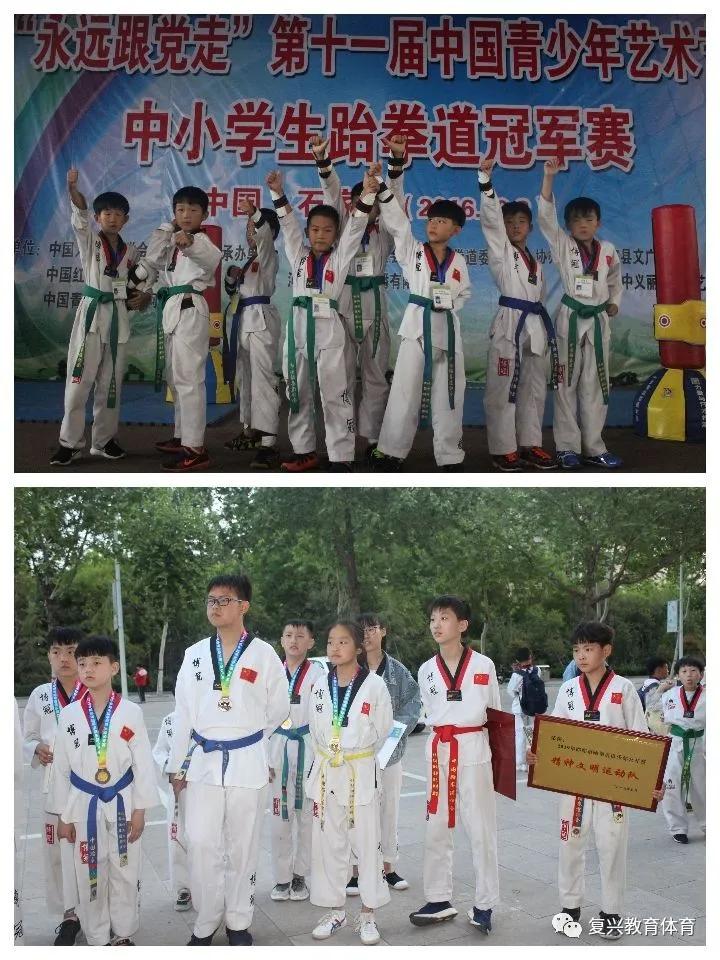 四肖一码王中王2020，揭秘与探索，四肖一码王中王2020，揭秘与探索的神秘面纱
