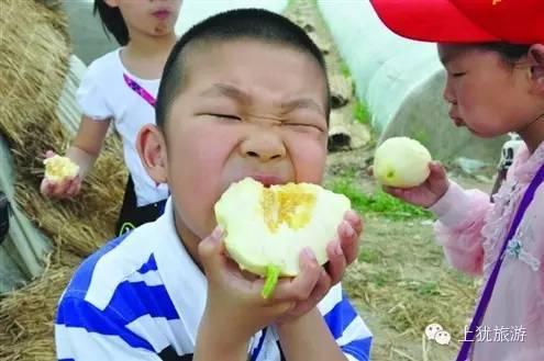 上犹今天发生的重大新闻，上犹今日重大新闻速递