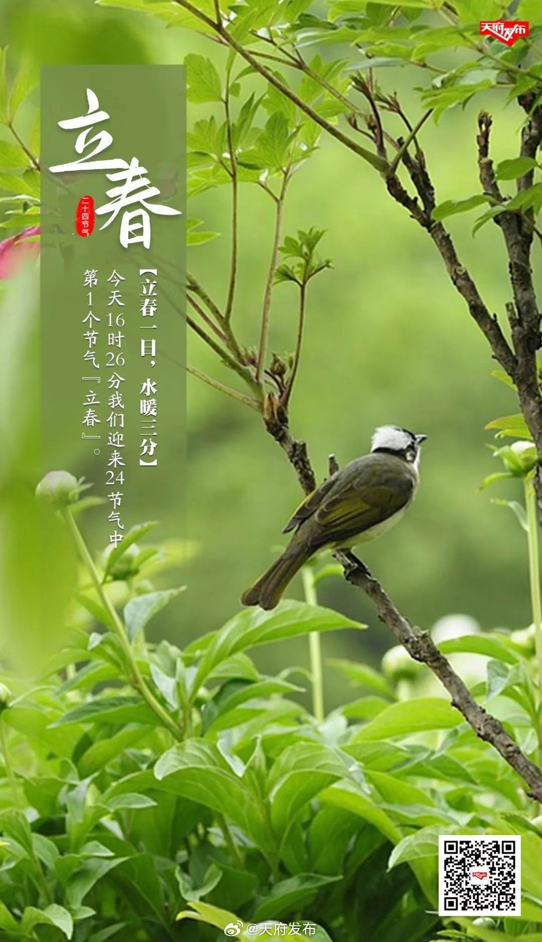 今天几点立春，中国传统节气中的新生与希望，今日立春时刻，迎接新生，希望满溢的节气之始