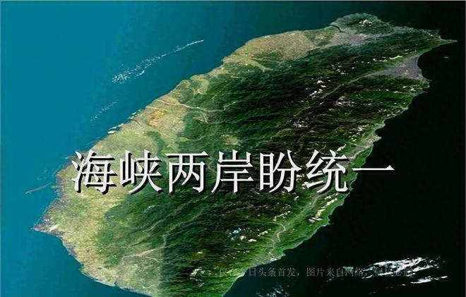 分析报告