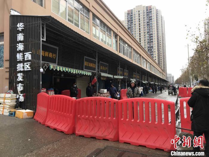 武汉华南海鲜市场，一座城市的活力之源与变迁缩影，武汉华南海鲜市场，城市活力之源与变迁的缩影