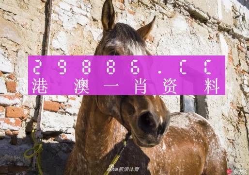 王中王一肖中特马，探寻背后的故事与奥秘，探寻王中王一肖中特马的背后故事与奥秘