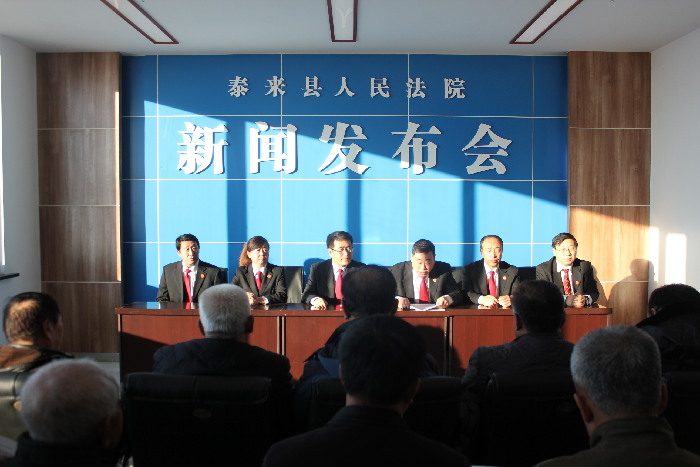 新闻发布会视频与法院，公开透明的新时代司法交流方式，新闻发布会视频，新时代司法公开透明的交流窗口