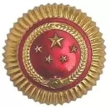 武警部队新帽徽，象征荣耀与使命的崭新标志，武警部队新帽徽，荣耀与使命的崭新象征