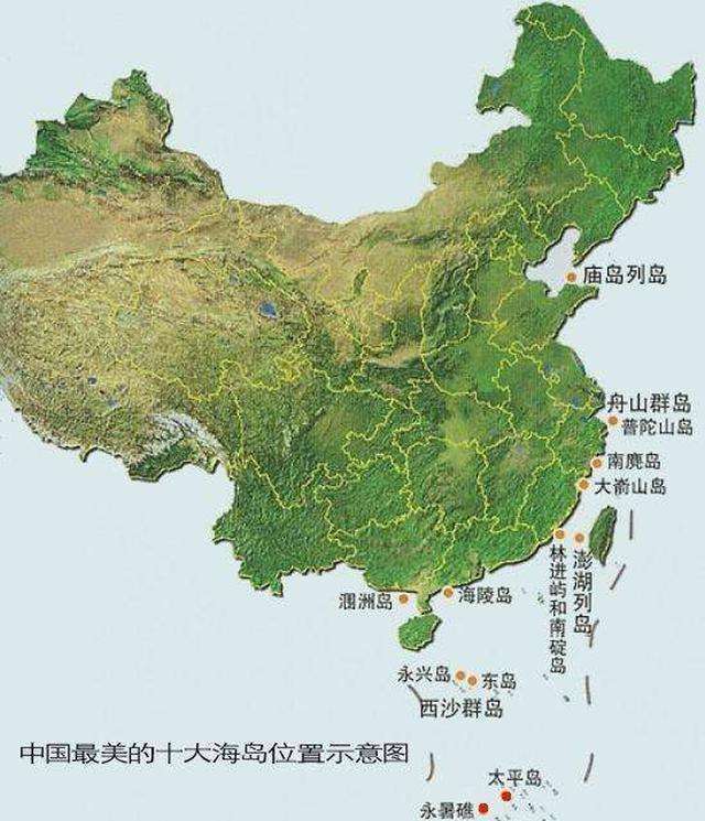 数量概览