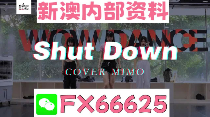 探索管家婆必中一肖图正版背后的奥秘，揭秘管家婆必中一肖图正版背后的秘密