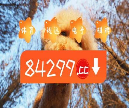 澳门天天免费精准大全，探索澳门的文化与魅力，澳门文化与魅力探索，天天免费精准大全