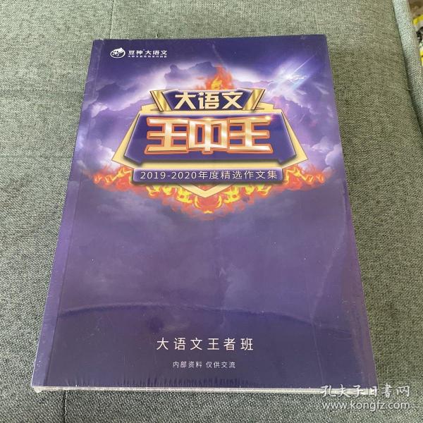 关于王中王资料一肖中v的研究与探讨（2019年），王中王资料一肖中v深度研究与探讨（2019年分析）