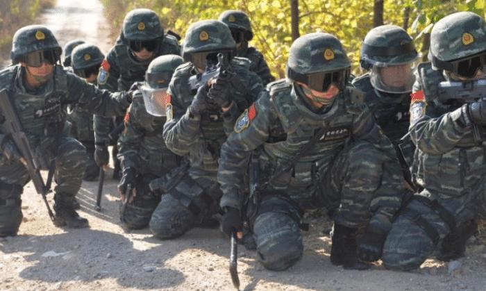 北京武警特种警察学院深度解析，一所培养特种精英的摇篮，北京武警特种警察学院深度解析，特种精英培养的摇篮