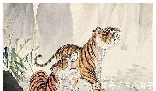 生肖之谜（或生肖探秘）
