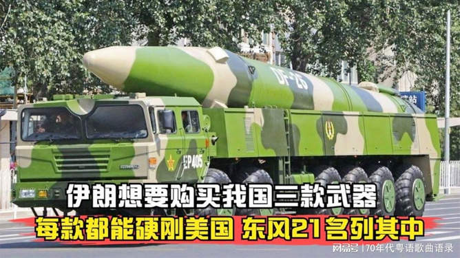 深度解读与前景分析