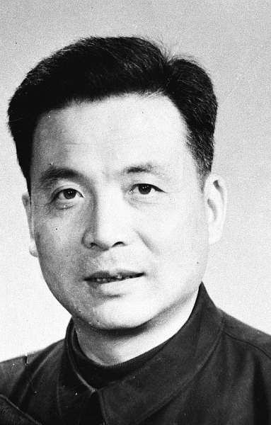 邓稼先事迹概括，邓稼先，中国核事业的先驱者事迹概览