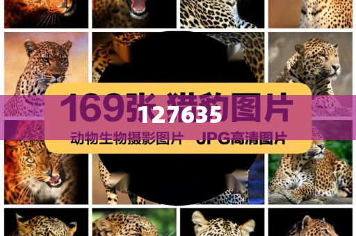 揭秘精准新传真背后的秘密，解码数字序列77777与88888的力量，揭秘精准新传真背后的秘密，数字序列77777与88888的神秘力量解码