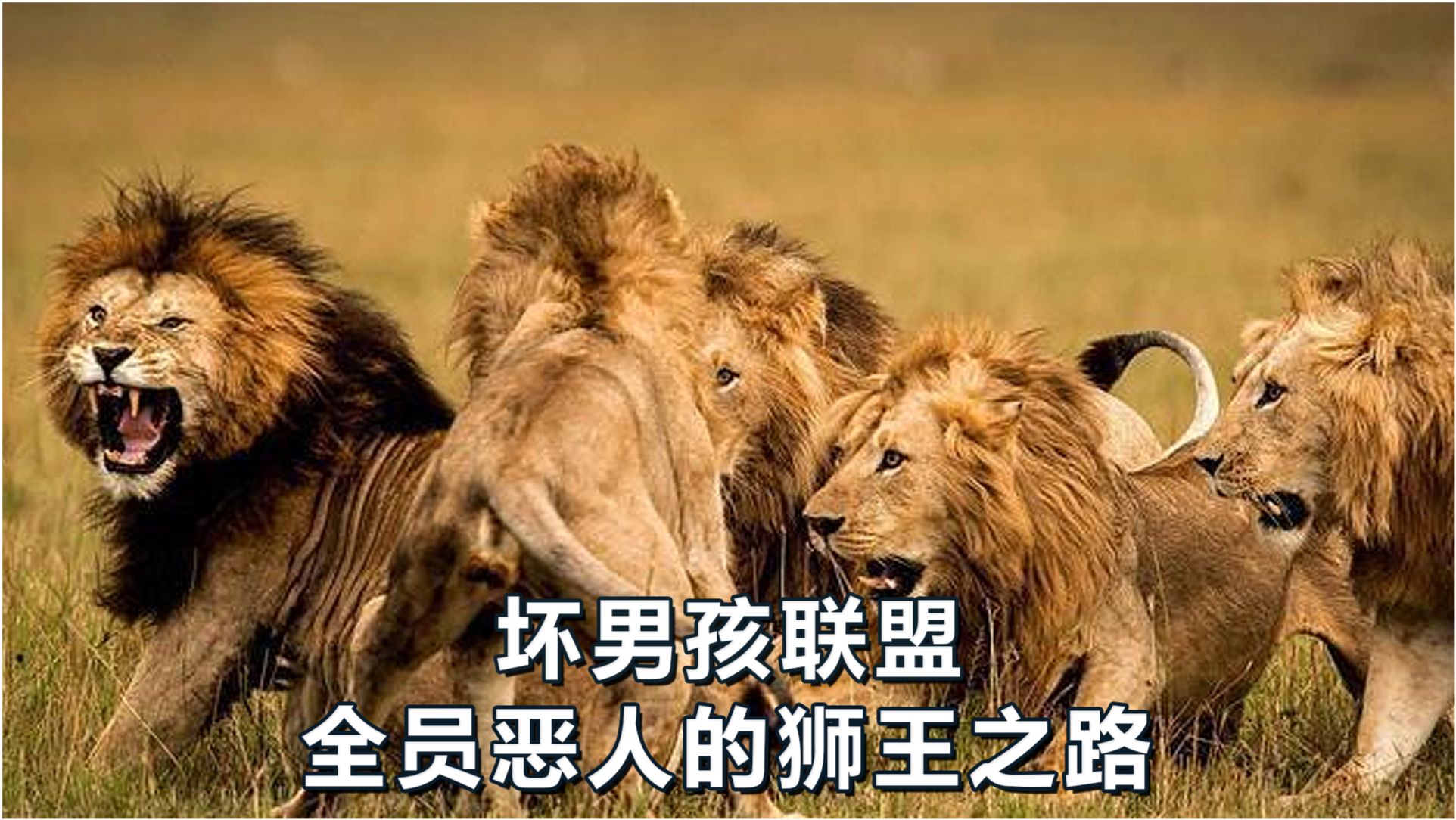 四不像王中王一肖中