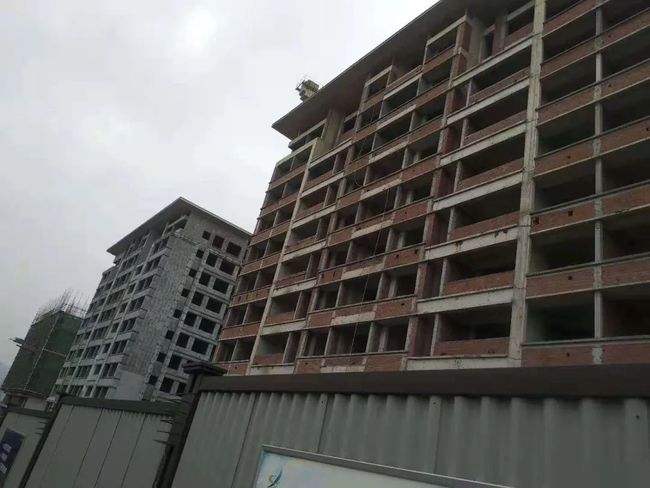 王中王欲钱猜一肖，揭秘生肖之谜与财富游戏，揭秘生肖之谜与财富游戏，王中王欲钱猜一肖探秘之旅