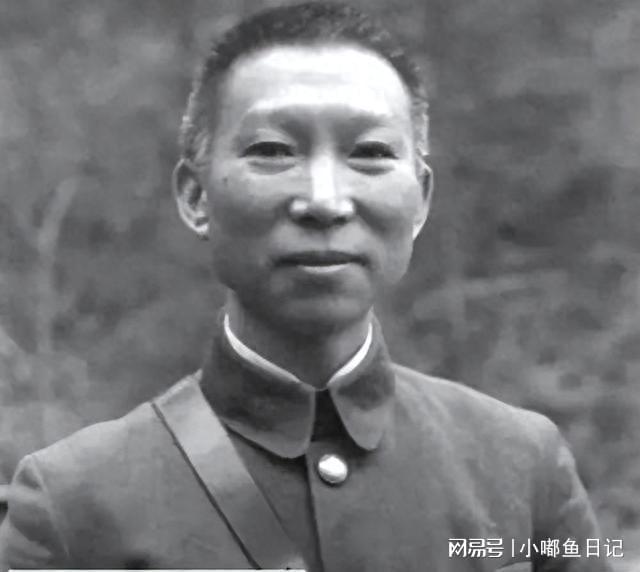 海南岛战役双方将领及其影响，海南岛战役，双方将领与战役影响解析