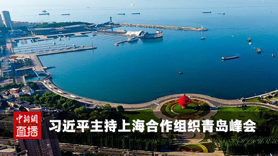 青岛上合峰会，推动多元合作，共创共赢未来，青岛上合峰会，多元合作共创共赢未来