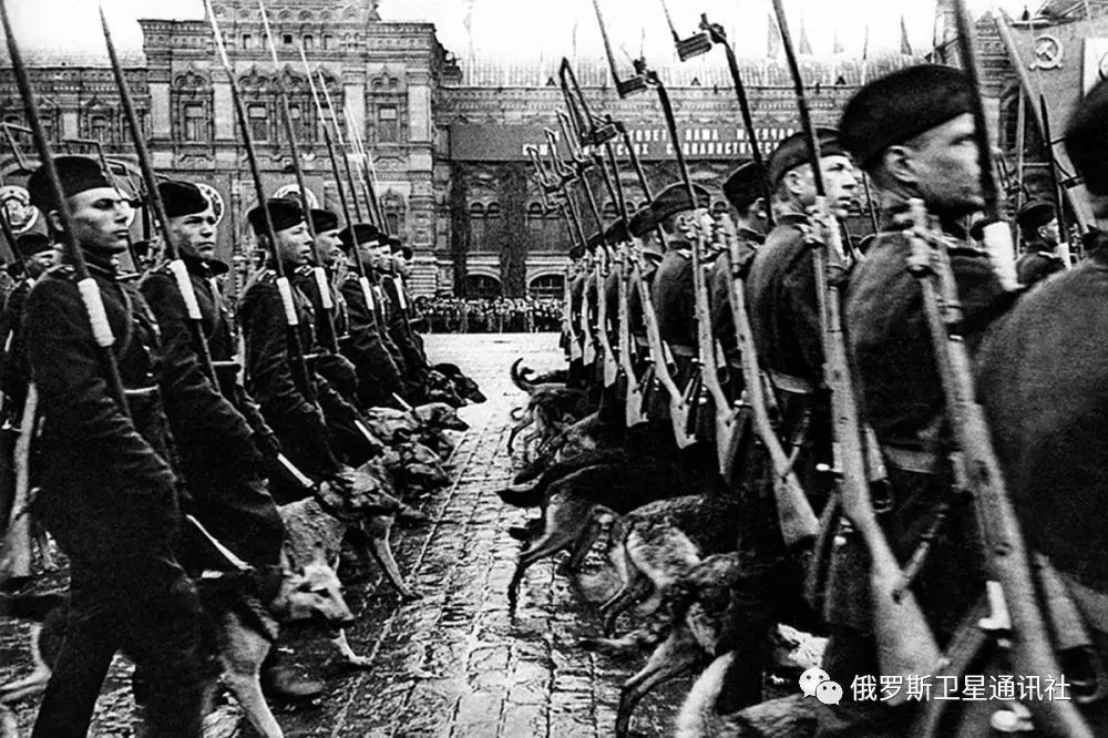 胜利日阅兵，回顾与展望（1945年），胜利日阅兵回顾与展望，纪念胜利时刻的壮丽画卷（1945年）