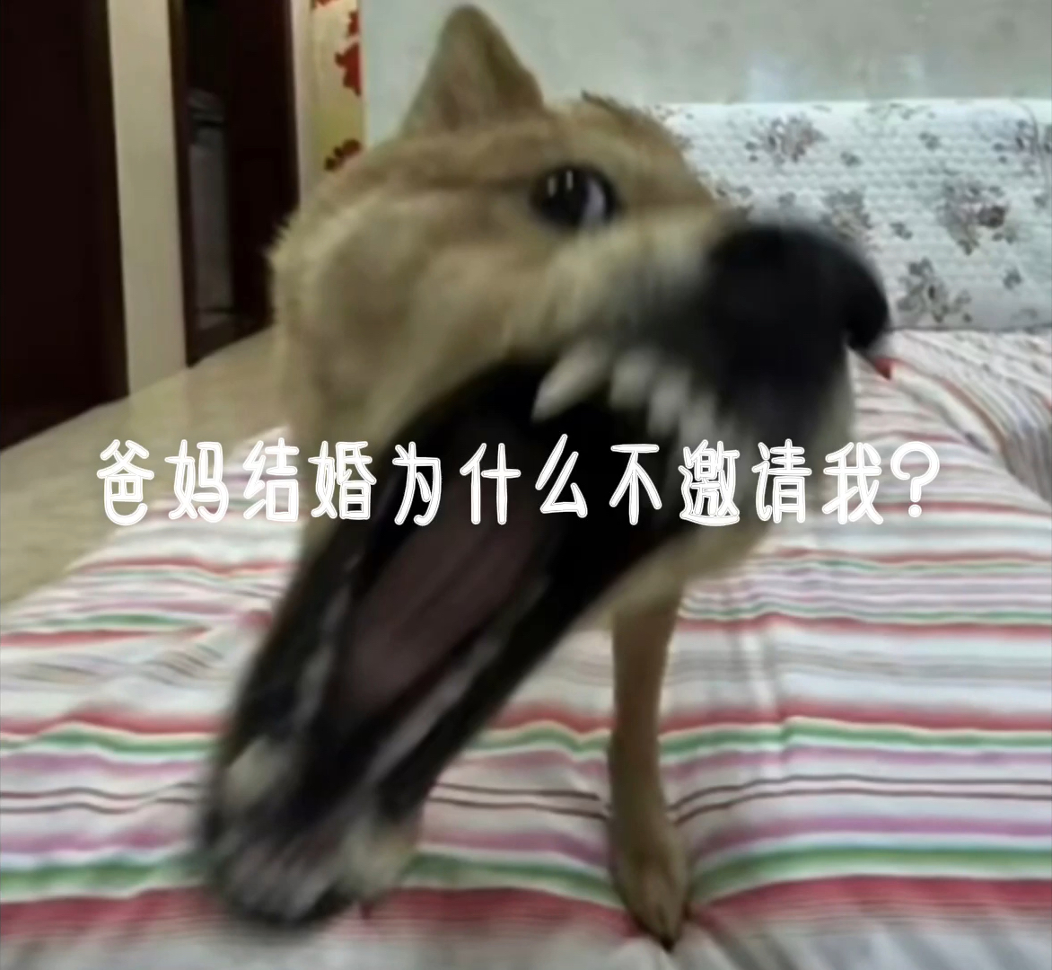 为何迟迟不肯跟我提结婚，探究婚恋观念与心理差异，婚恋观念与心理差异，为何迟迟不提结婚？