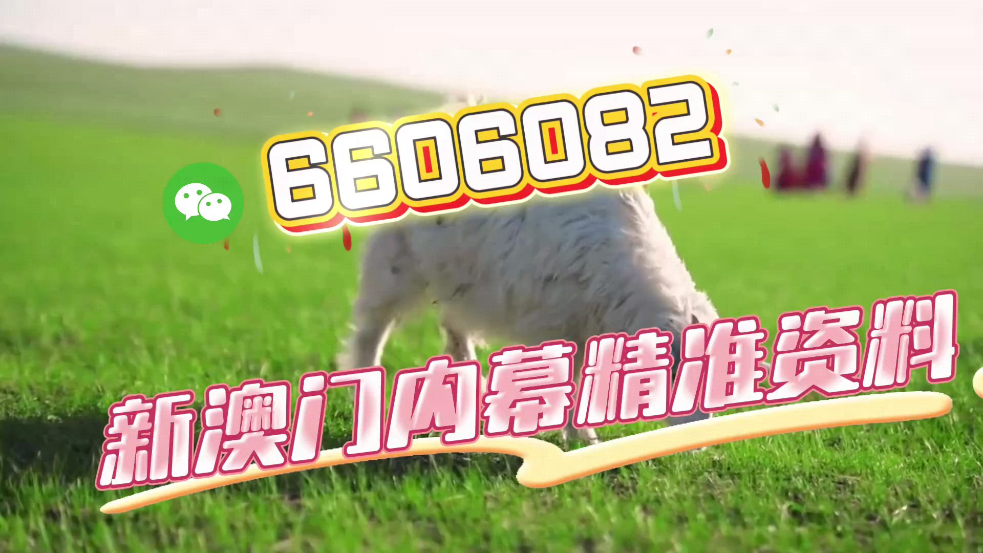 澳门三肖三码，揭秘准确率高达100%的神秘面纱，澳门三肖三码揭秘，百分百准确率神秘面纱下的真相
